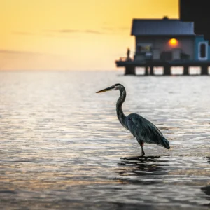 Keys, Beacons, and Gulf Light 09