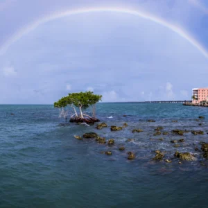 Keys, Beacons, and Gulf Light 14