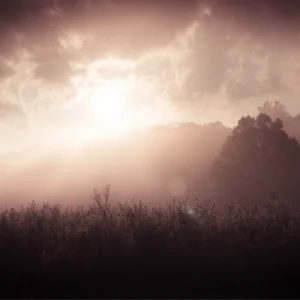 Shadow, Stars, and Mountain Light 06
