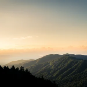 Shadow, Stars, and Mountain Light 08