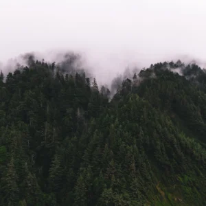 Tides, Beacons, and Pacific Light 099