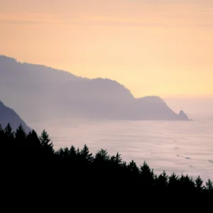 Tides, Beacons, and Pacific Light 122