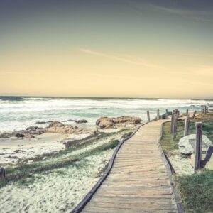 Cypress, Stone, and Sea24