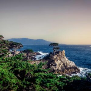 Cypress, Stone, and Sea25