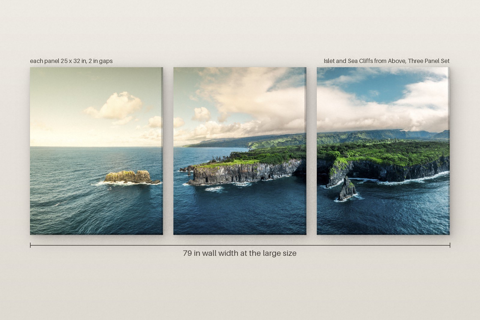 Islet and Sea Cliffs from Above, Three Panel Set - Image 2